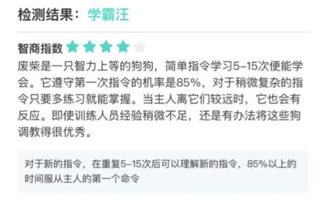 实不相瞒,我们这些养宠人士很想收到这样的礼物!