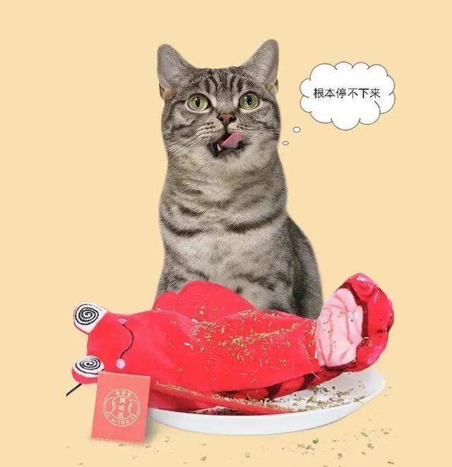 实不相瞒,我们这些养宠人士很想收到这样的礼物!