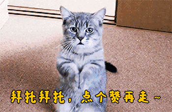 超级女孩,放开那只猫,冲我来!