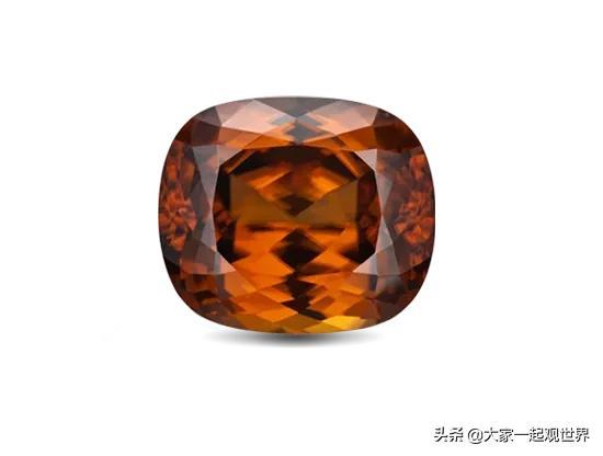 45张真实照片:日本貌美如花的黑帮女老大,完整的人类神经系统