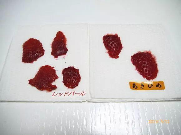 在家种西红柿,土里埋两片,蹭蹭长出红果子!