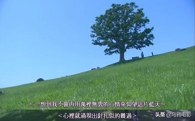 全员出轨,三观不正,这尺度剧,是怎么火出圈的?