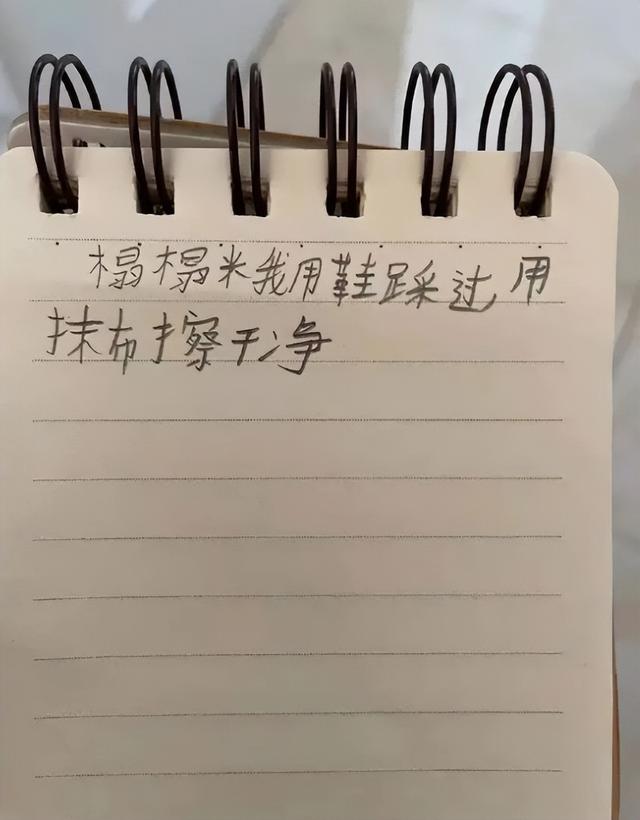 14岁女孩跳楼,1500字遗书曝光:“若有来生,别来烦我”