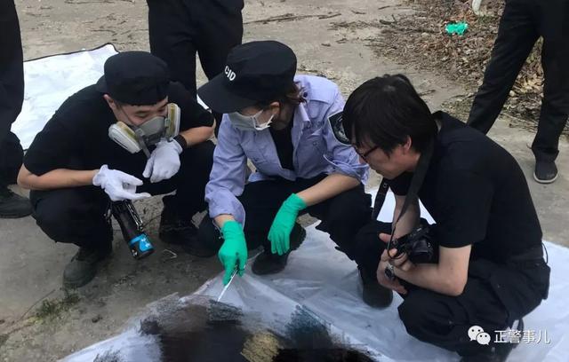 四位北京女警,榜上有名!