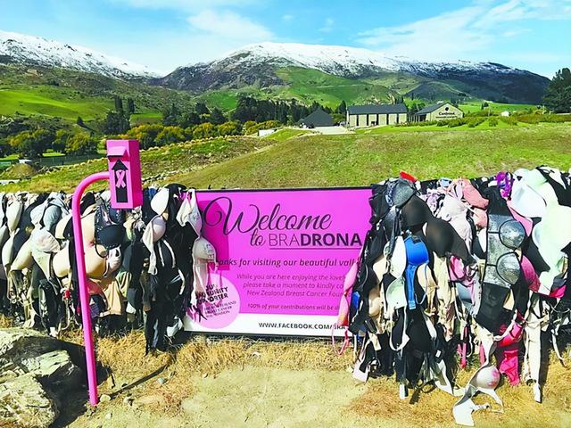 新西兰的“内衣墙”,女性来到这自觉脱掉内衣,是怎么回事?