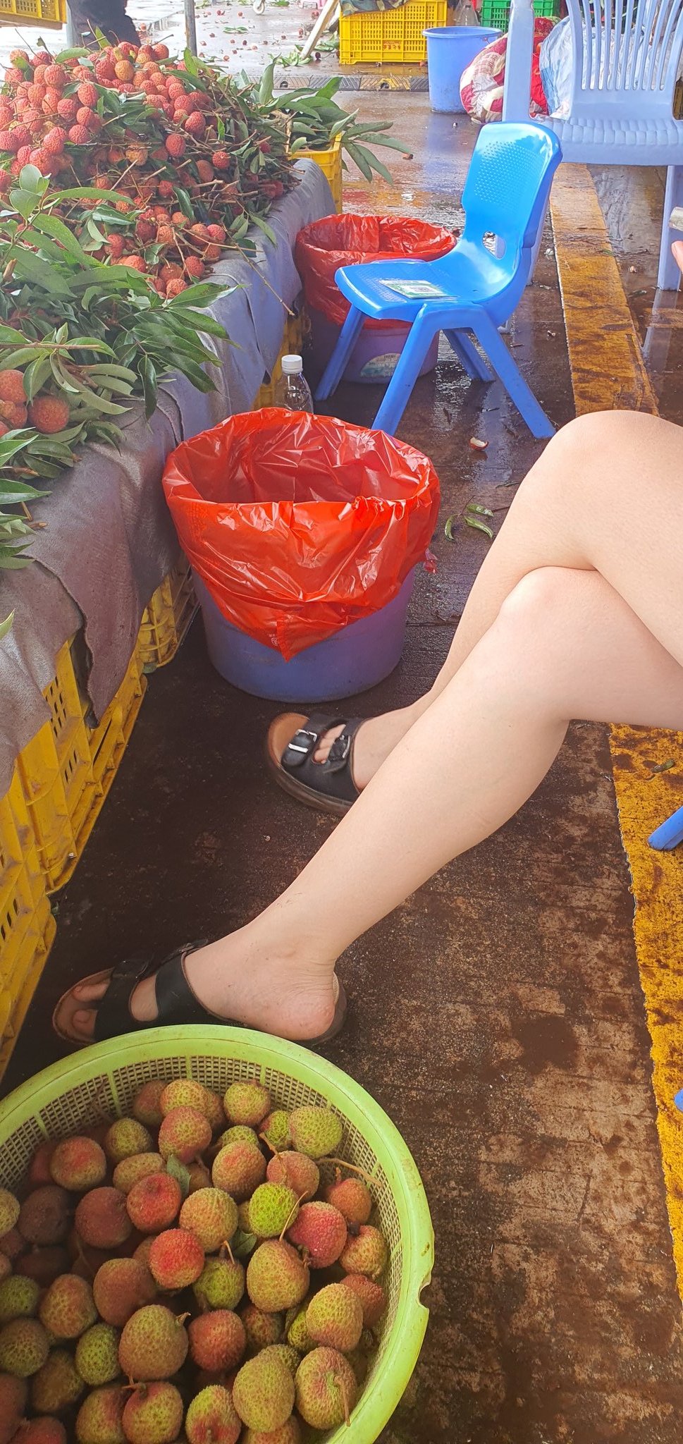 漂亮的小脚丫