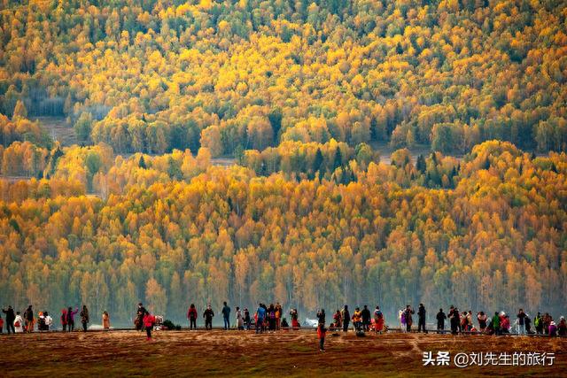 2021新疆喀纳斯最新旅行攻略，探寻中国最美秋色