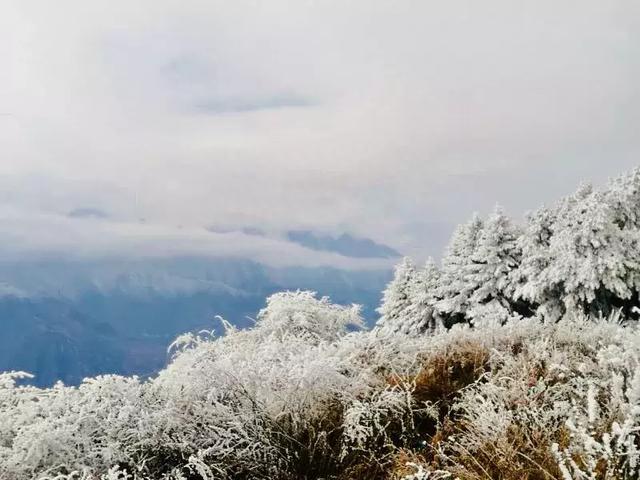 阿坝州雪景图！超美超震撼！