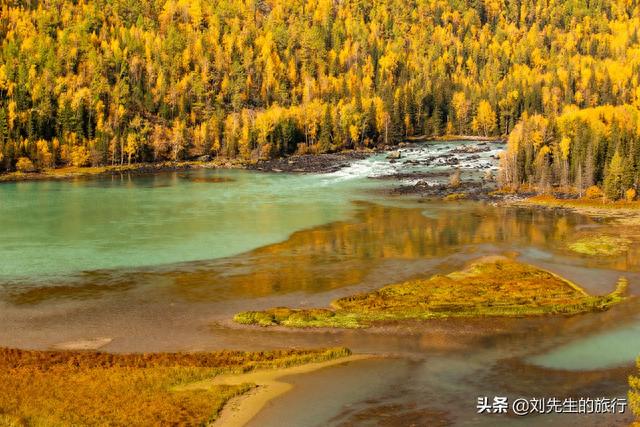 2021新疆喀纳斯最新旅行攻略，探寻中国最美秋色