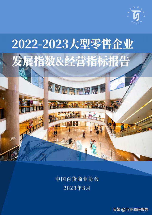2022-2023大型零售企业发展指数报告