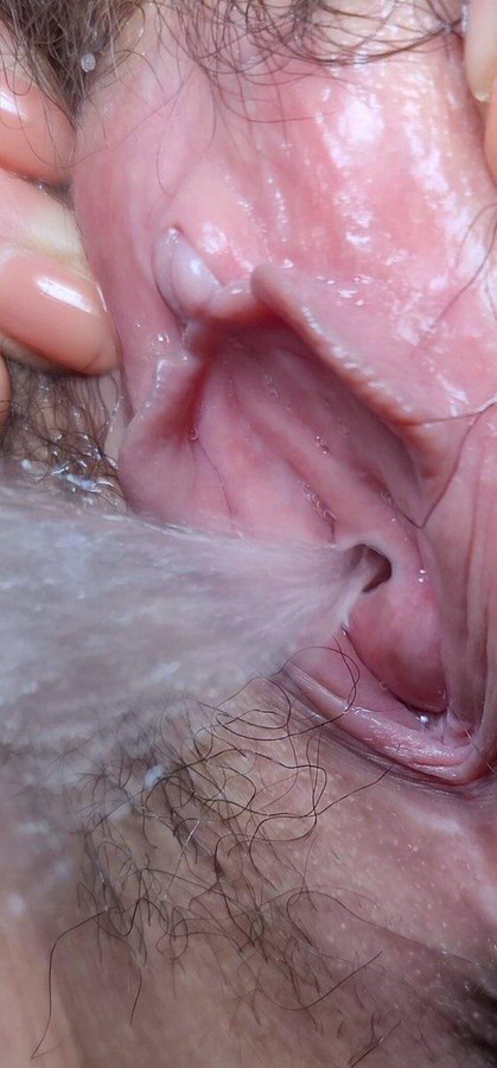[小母狗] 深夜福利—— 娴静时如娇花照水,行动处似弱柳扶风