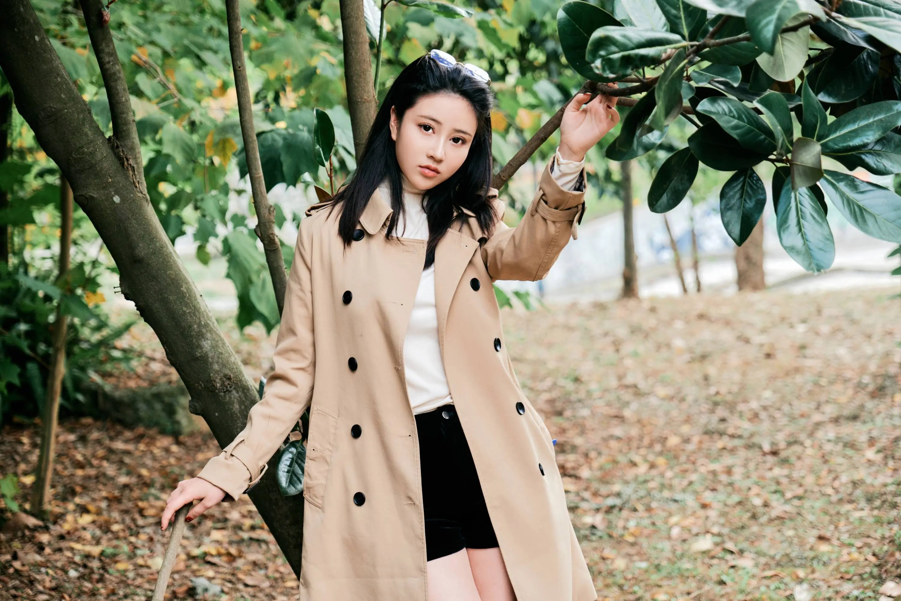 小树林里风景好