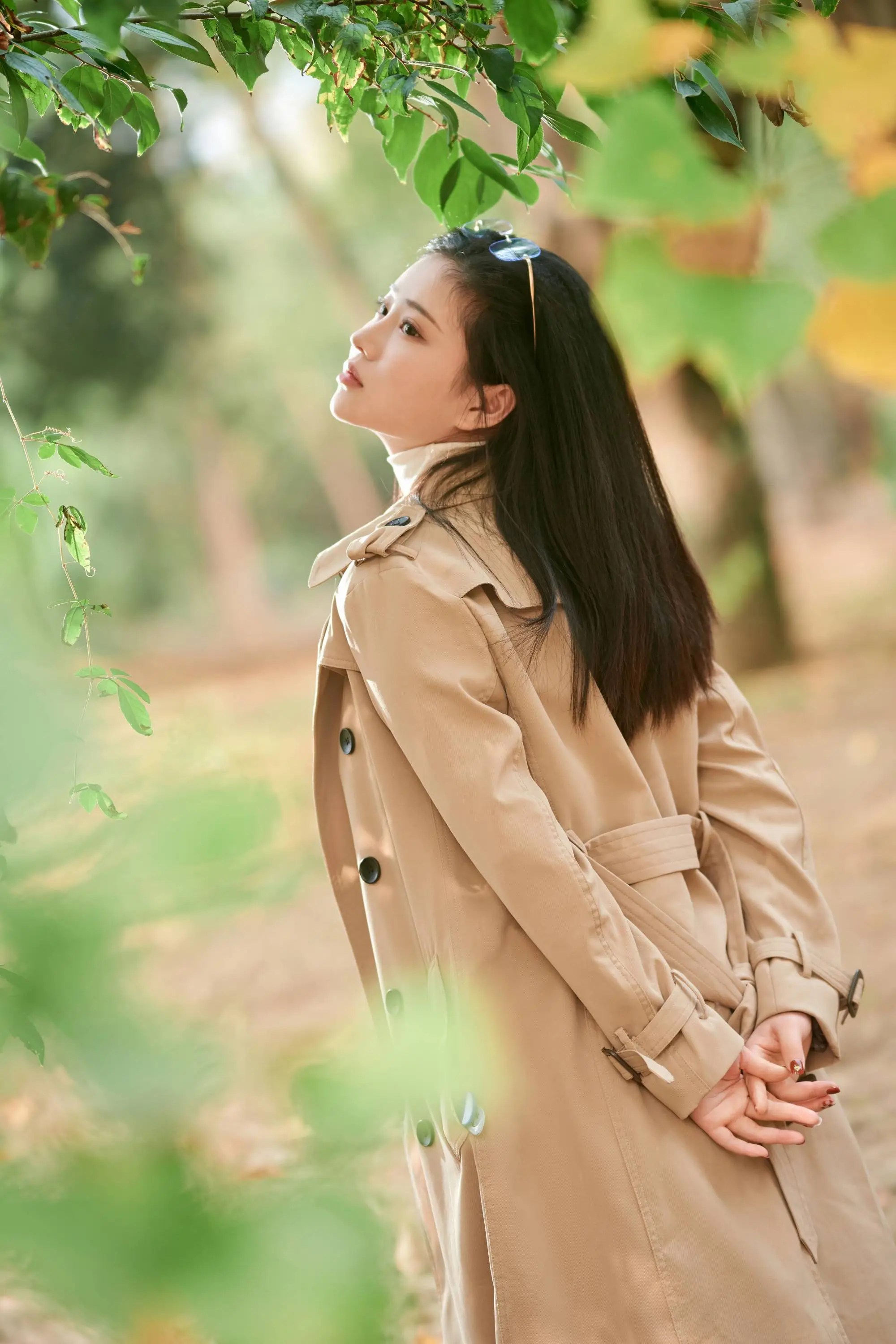 小树林里风景好