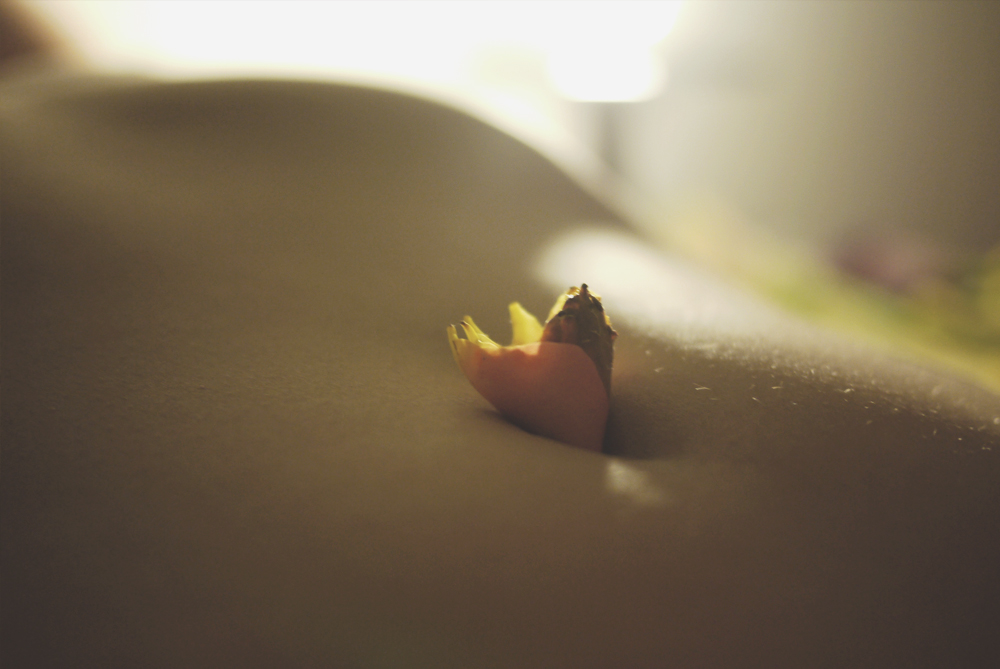 文艺范美女照片