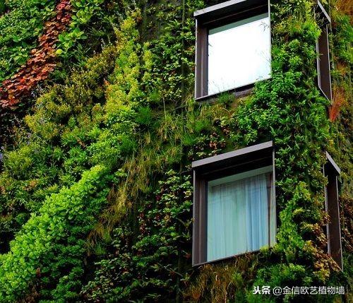 不同造型室外植物墙给你不一样的视觉体验