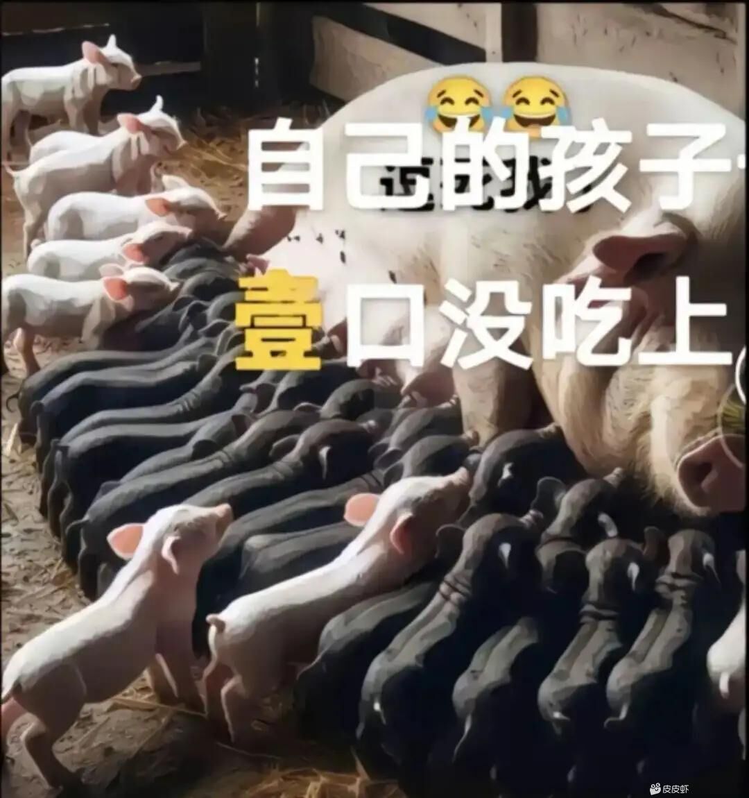 天气晴的反差娇妻情趣内衣真空无内外出日常