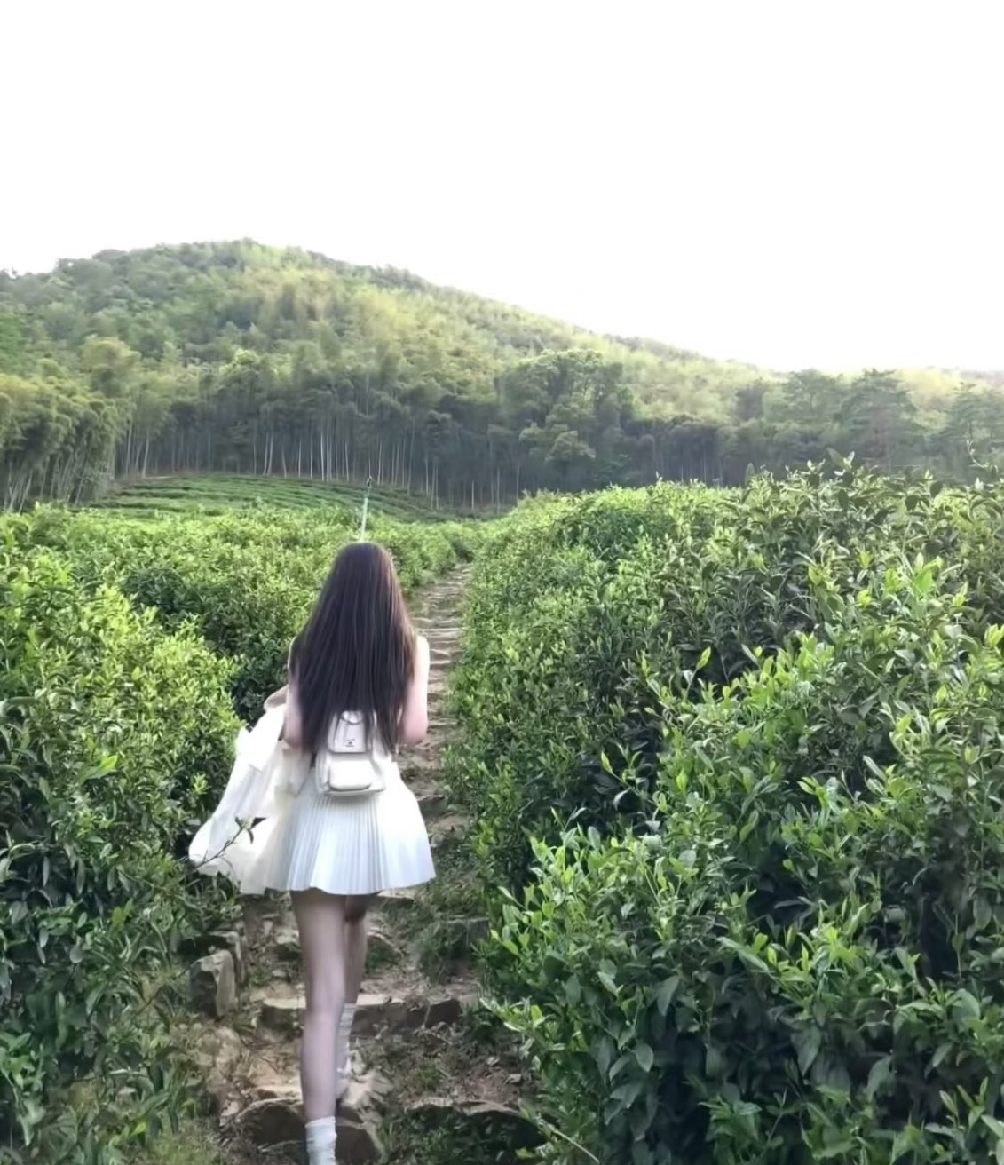 万千娇媚美少妇[2025]